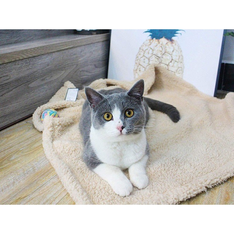Plush Pet Blanket Dog Mat Cat Mat Pet Air Conditioning Mat Pet Plush Mat