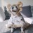 Pet Autumn And Winter Thick Warm Dehaired Angora Printed Cloak Small Blanket