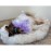 Fluffy Long Plush Warm Pet Blanket
