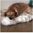 Fluffy Long Plush Warm Pet Blanket
