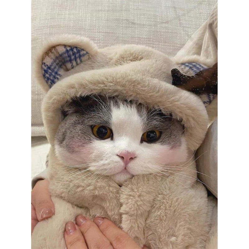 Pet Dog Cat Plush Cloak Clothes Cute Bear Blanket Autumn And Winter Warm Pad