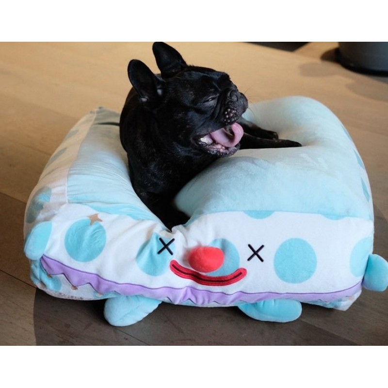 Clown Pet Sleeps In A Cozy Pet Bed