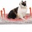 Double-sided Pet Sleeping Mat Blanket