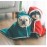 Pet Blanket Plus Fleece Warm Quilt Sleeping Bag